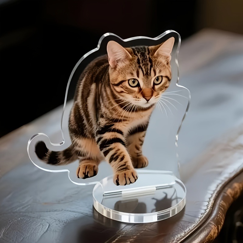 Custom Irregular Pet Acrylic S - Pet Portrait Custom recension och pris